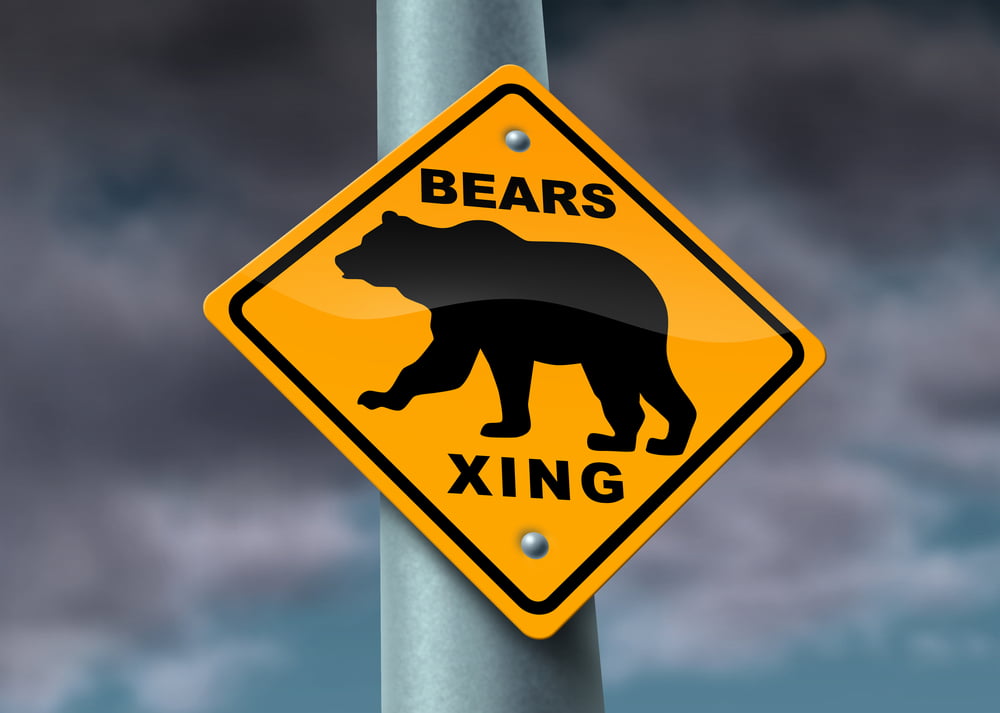 Bitcoin BTC Bears