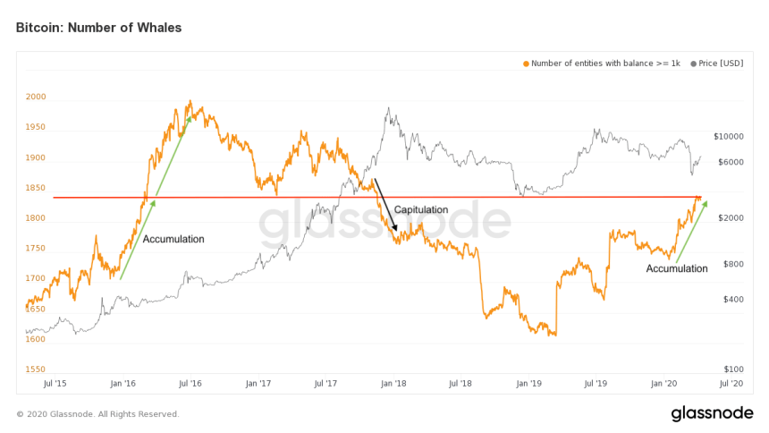 Bitcoin BTC