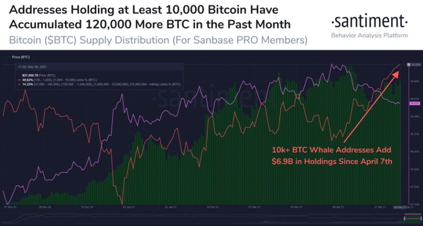 BTC BTCUSD