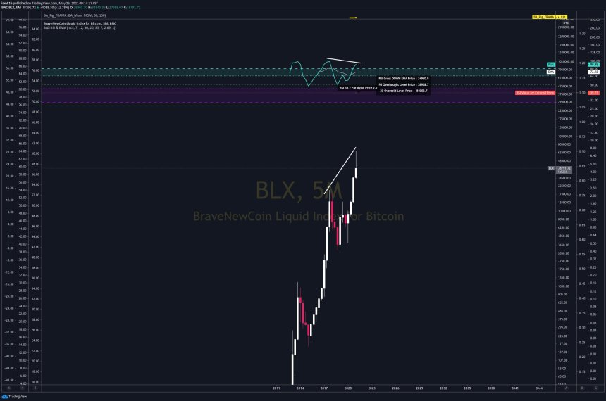 bitcoin bear market RSI