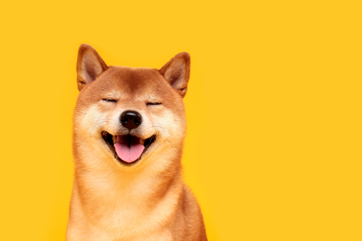 dogecoin