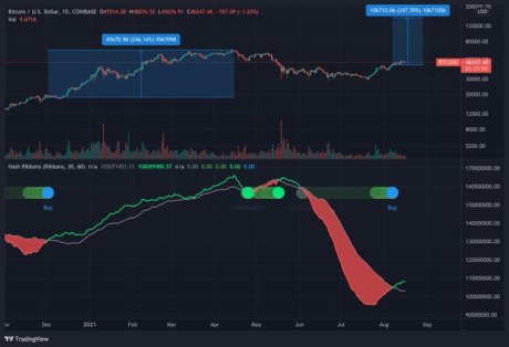 Bitcoin chart showing hash ribbons indicating buy signals