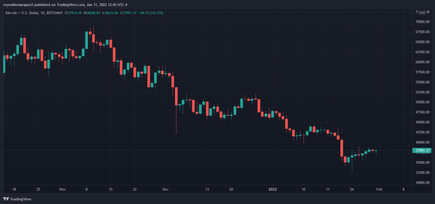 Bitcoin BTC BTCUSD