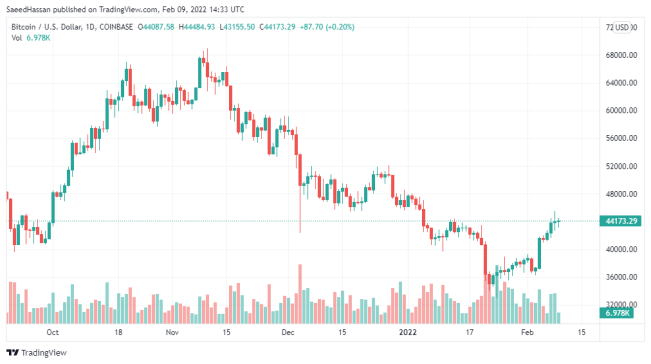 Bitcoin Price