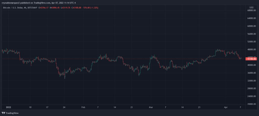 Bitcoin BTC BTCUSD