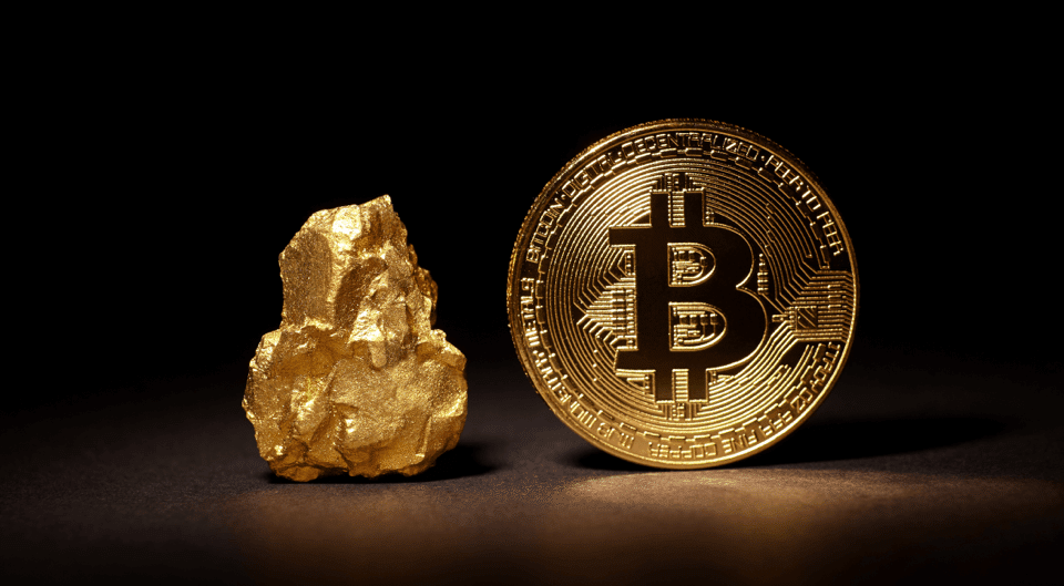 bitcoin vs gold