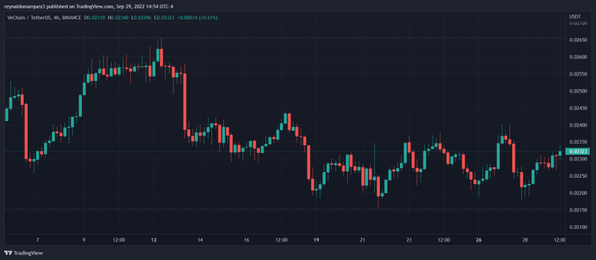 VeChain VET VETUSDT