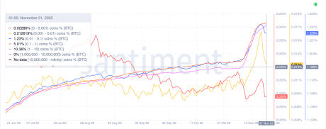 Bitcoin holders with less than 10 BTC