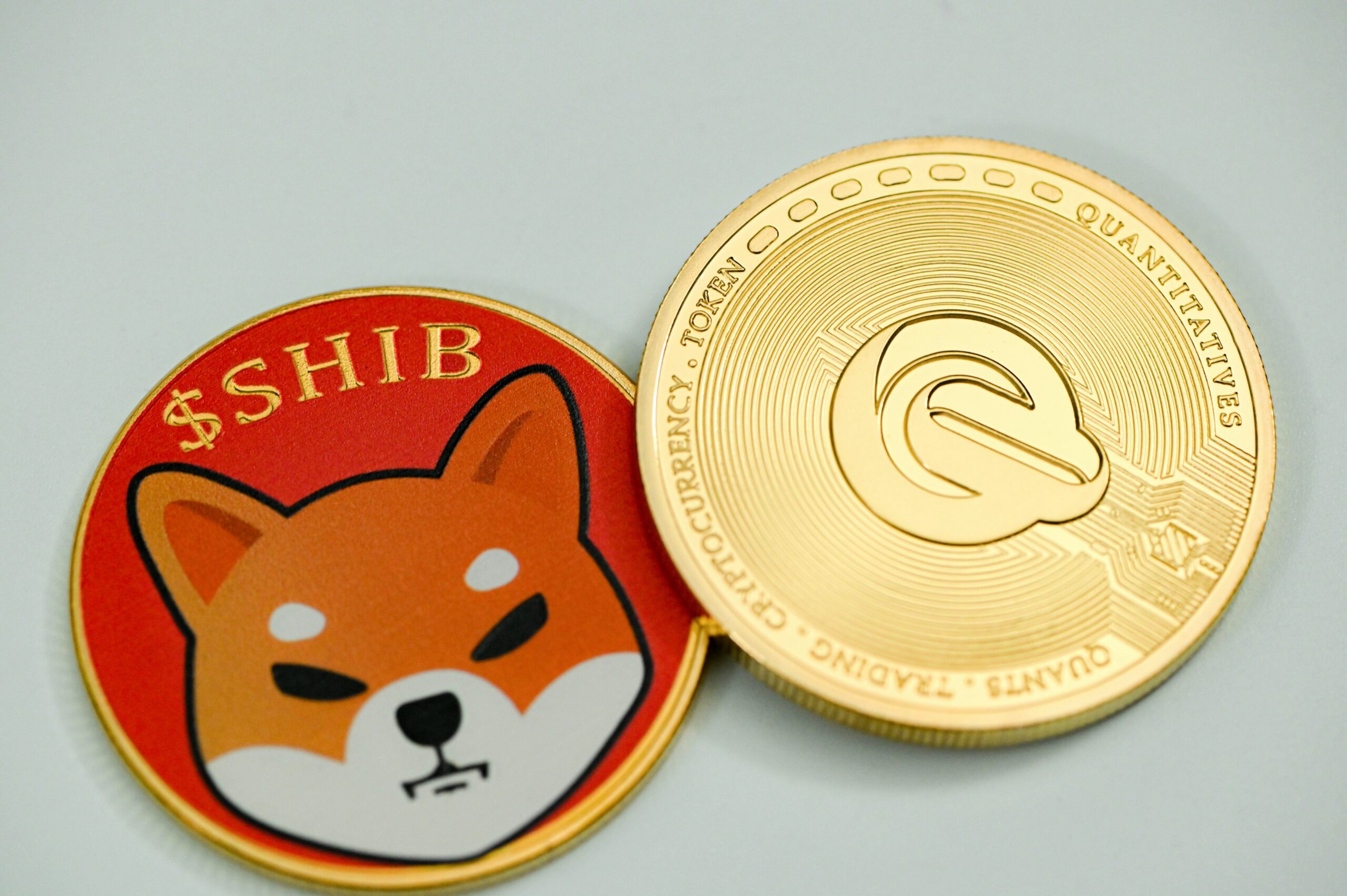 Shiba Inu Coin