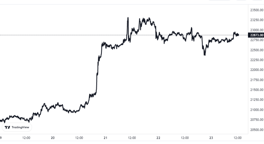 Bitcoin Price Chart