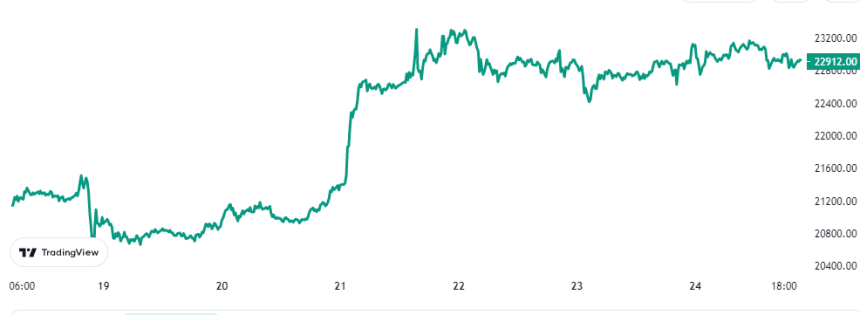 Bitcoin Price Chart