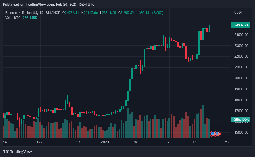 Bitcoin Price on February 20