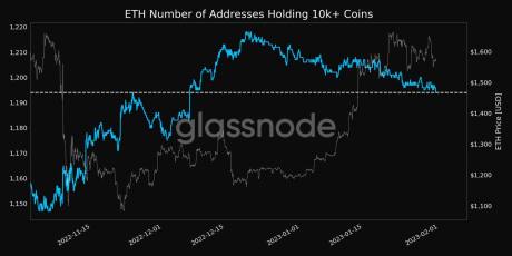 BTC Amount of Supply Last Active 3y 5y