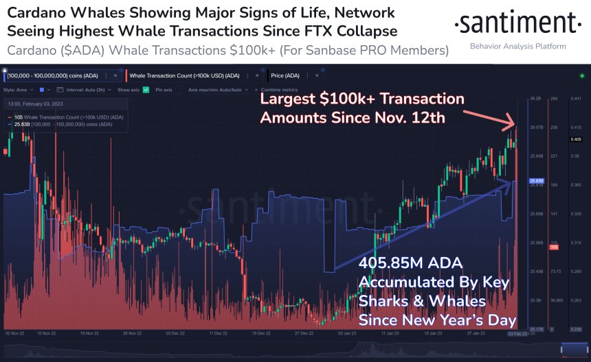 Cardano