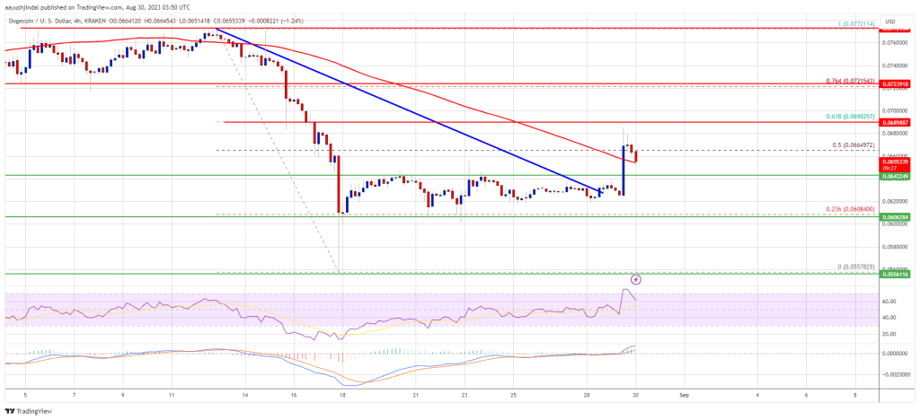 Dogecoin Price (DOGE)