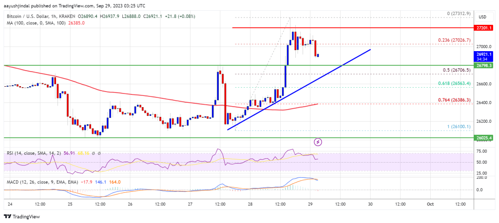 Bitcoin Price