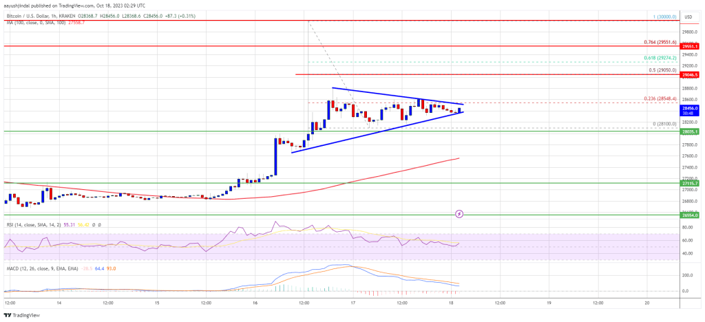 Bitcoin Price