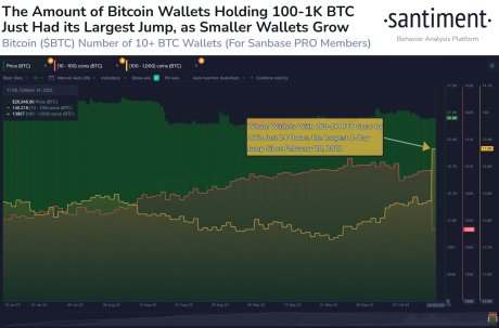 Bitcoin whales