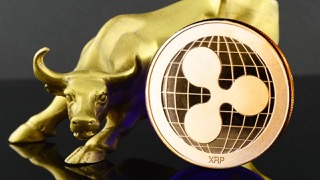 XRP price bull Small