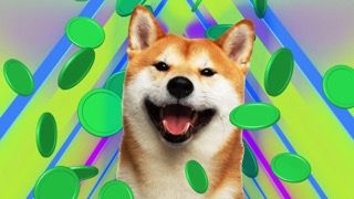 Shiba Inu Shibarium Small