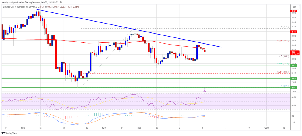 BNB Price