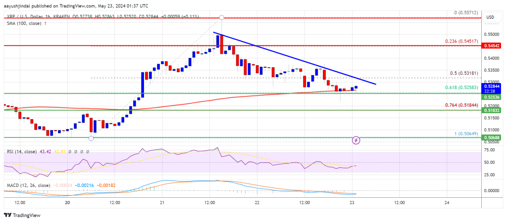 XRP Price