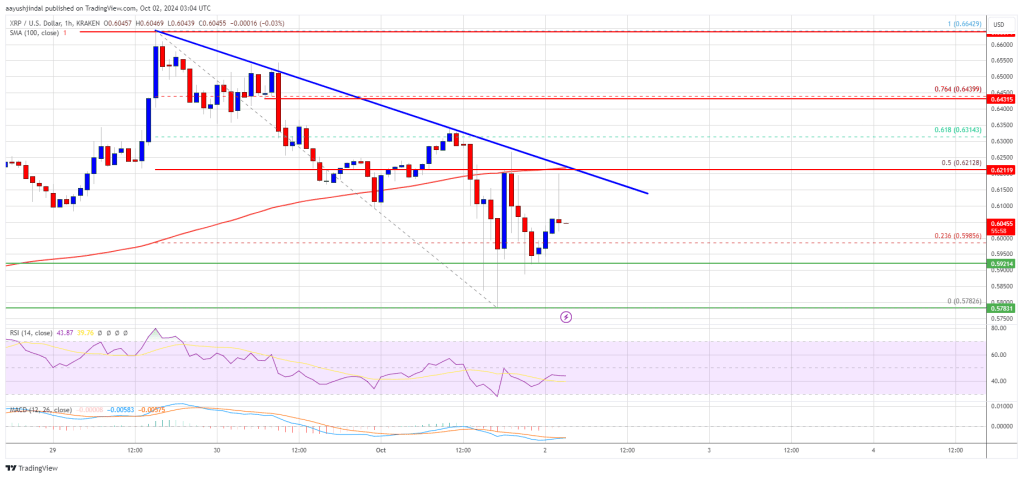 XRP Price