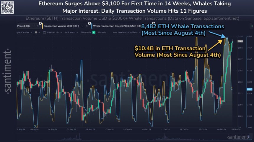 Ethereum Whale Transactions Spike 