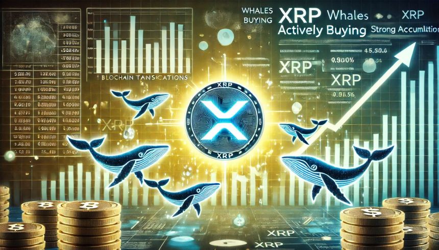 XRP Whales Loading Up – Data Reveals Buying Activity