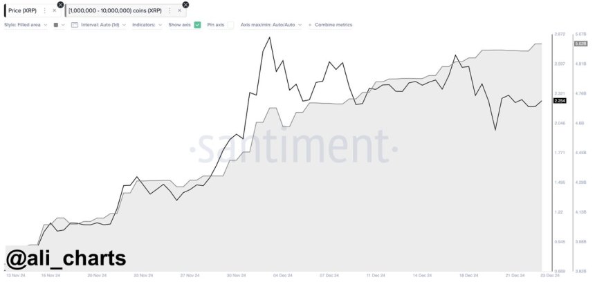 Las ballenas de XRP compraron otros 40 millones de XRP en las últimas 24 horas