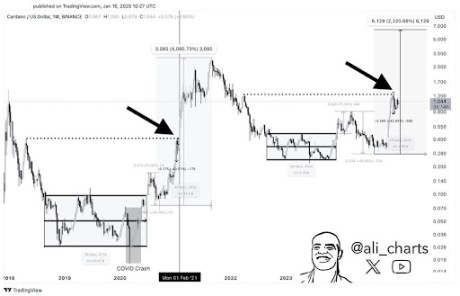 Cardano price