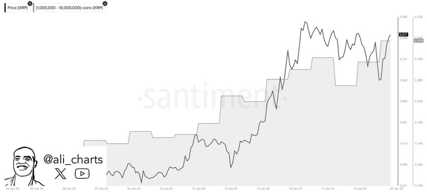 Las ballenas compran 100 millones de XRP en 48 horas | Fuente: Ali Martinez en X