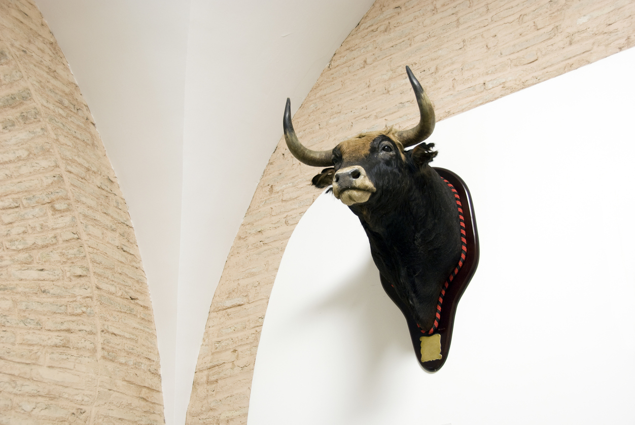 Bull on a wall