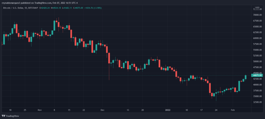 Bitcoin BTC BTCUSD