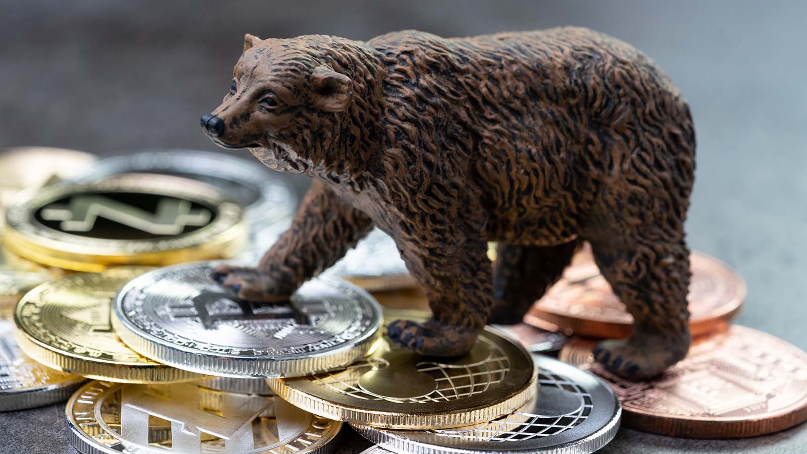 bitcoin bear