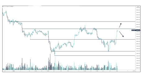 bitcoin chart