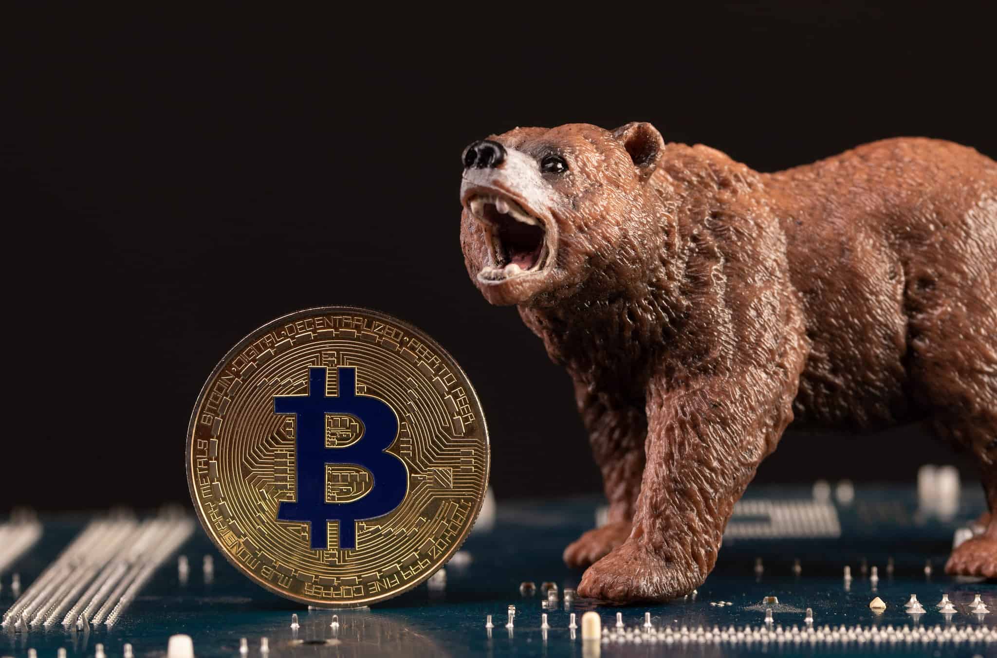 Bitcoin bear