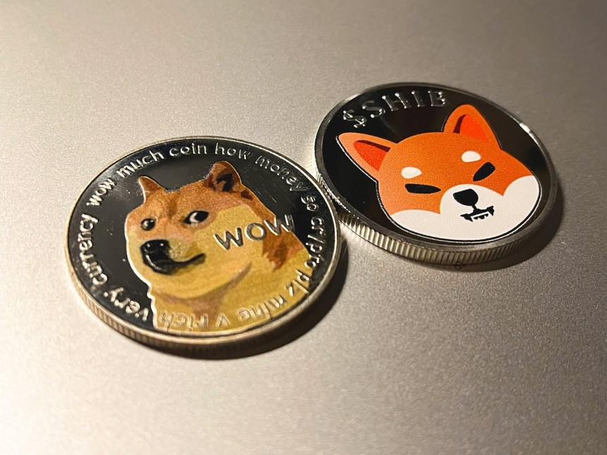 Whale Accumulates 229 Billion Shiba Inu Tokens, What's Next?