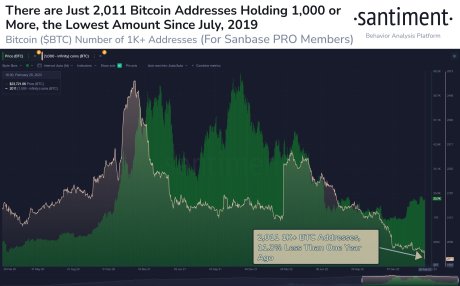 Bitcoin whales