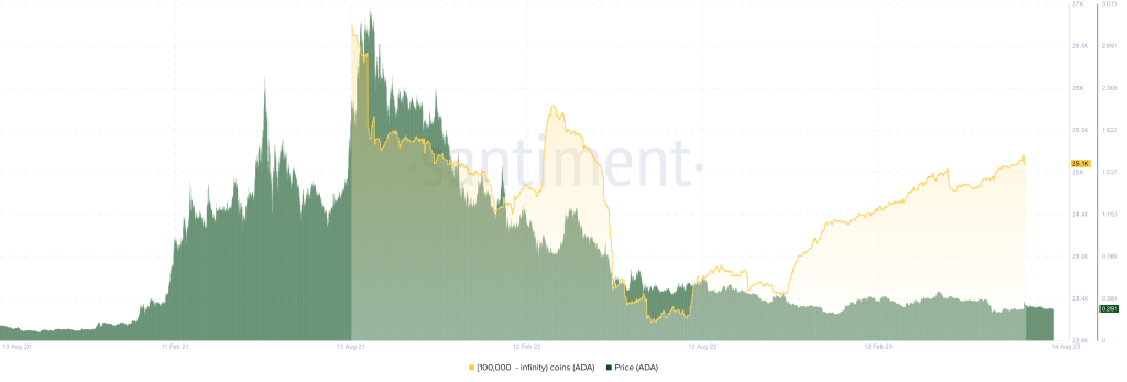 Cardano Whales Accumulating