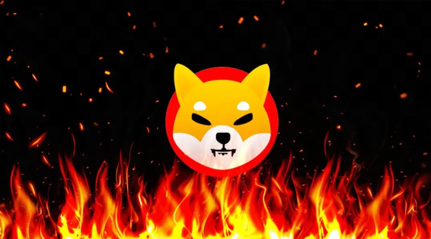 SHIB burn