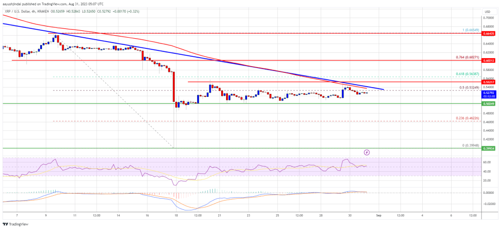 XRP Price Prediction