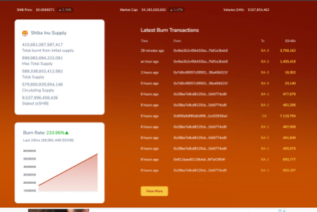 Shiba Inu SHIB burn rate