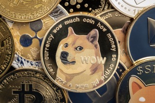 Dogecoin