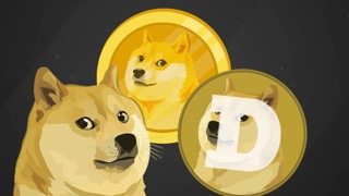 Dogecoin Small