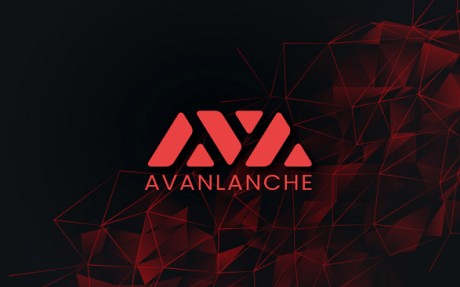 Avalanche network