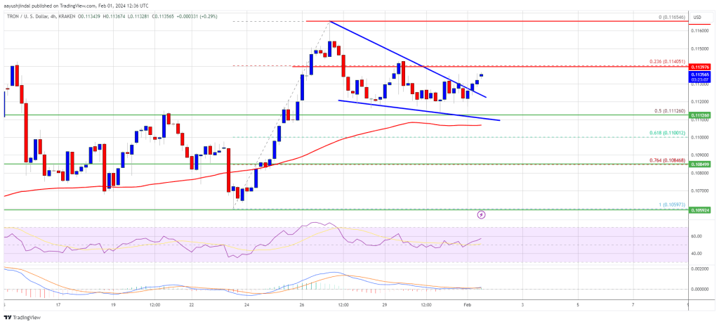 Tron Price Prediction