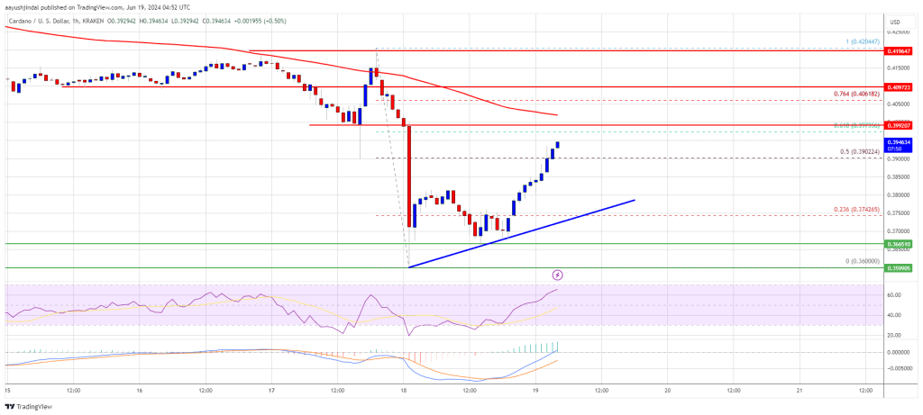 Cardano Price