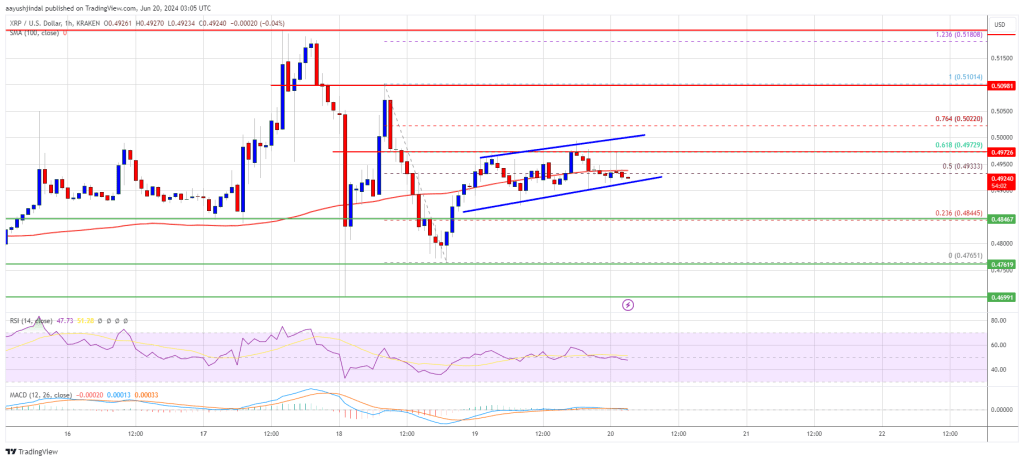 XRP Price