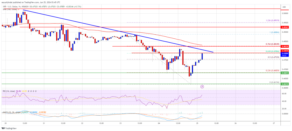 XRP Price